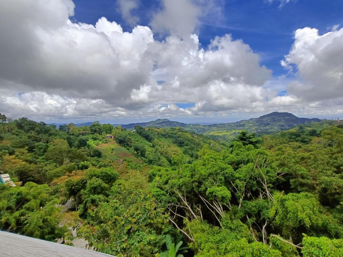 Mist Mountain Resort Powered By Cocotel Cebu Eksteriør bilde