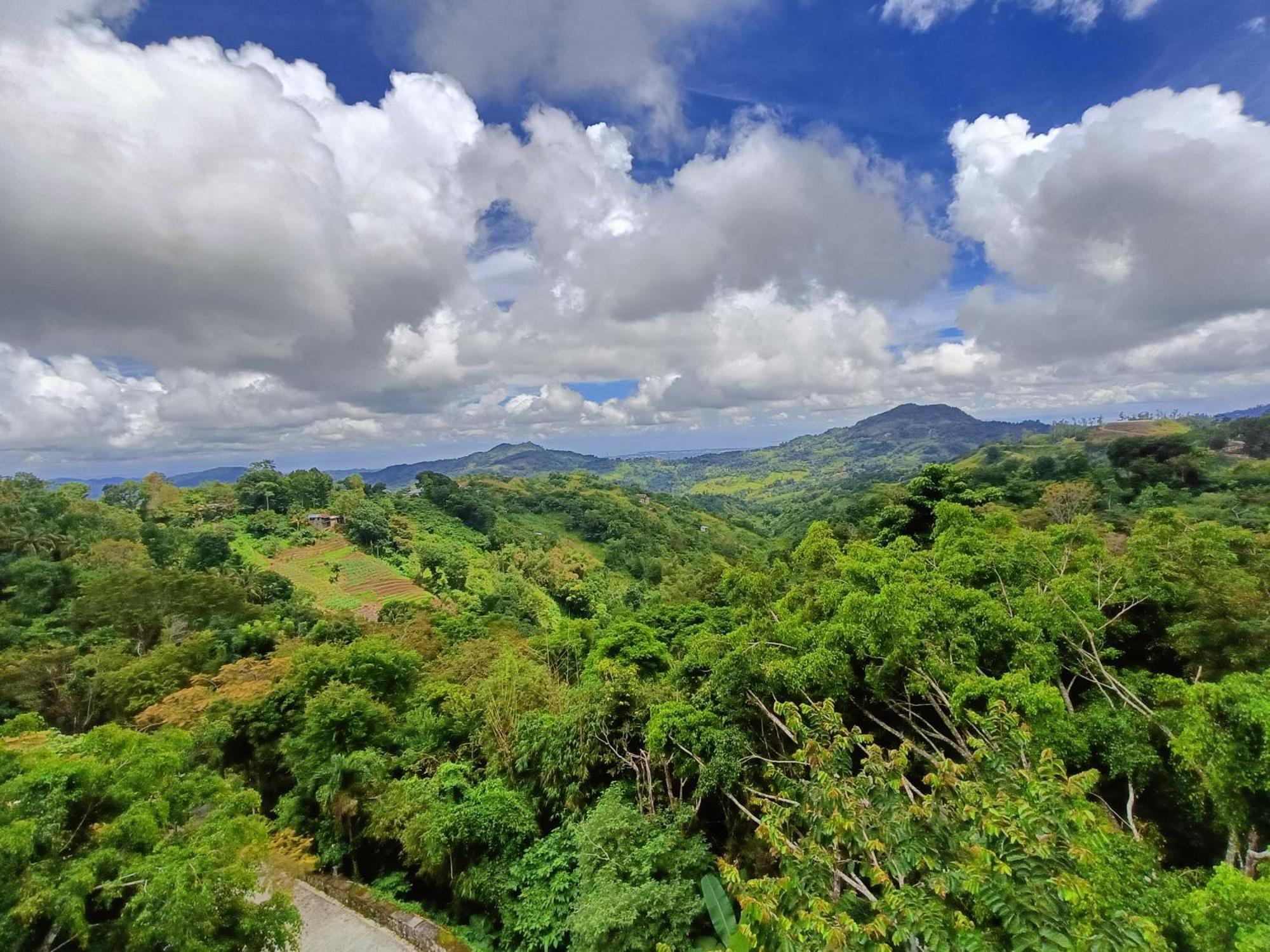 Mist Mountain Resort Powered By Cocotel Cebu Eksteriør bilde